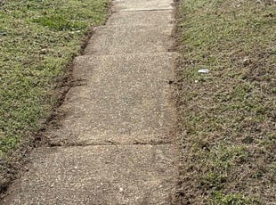 Michael L.'s Lawn Maintenance service result