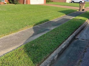 Al P.'s Grass Cutting service result