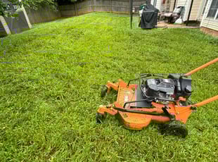 Cleanups by Quincy D. for Kiki a. in Charlotte, NC