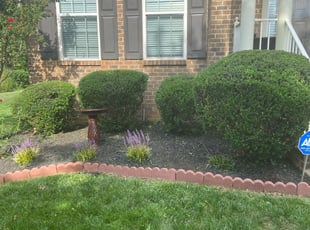 Bush Trimming by EV Jenkins-Benavides for Rachida G. in Richmond, VA