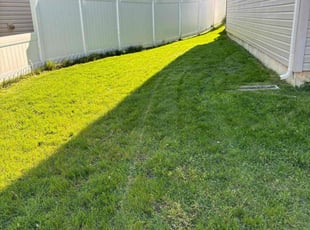 Robert F.'s Lawn Mowing Service service result