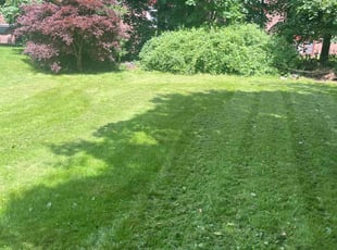 Jim E.'s Lawn Care service result