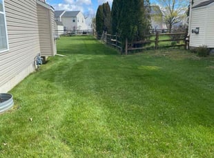 Carmen K.'s Lawn Maintenance service result