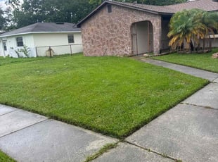 Amy A.'s Lawn Mowing service result