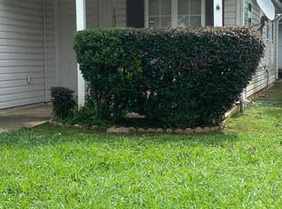 Bush Trimming by Andre Bess for Simone S. in Griffin, GA