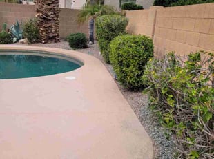Bush Trimming by Raul Blanco for Samantha S. in Chandler, AZ