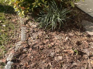 Weeding by Hanif Ibn King for Jennifer M. in Lakeland, FL