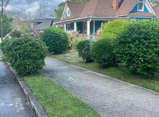 Mark W.'s Lawn Mowing service result