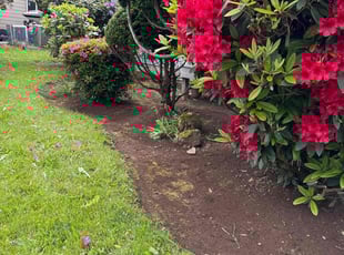 Weeding by Robert Norton for Kelley L. in Vancouver, WA