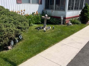 Esther P.'s Lawn Service service result