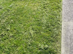 Toby A.'s Lawn Care service result