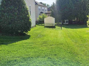 Johnnie G.'s Lawn Mowing service result