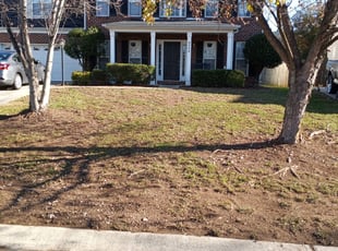 Leaf Removal by Tim Hargett for Mary S. in Charlotte, NC