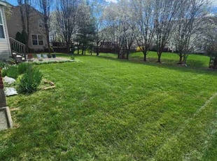 Juliee C.'s Lawn Care service result