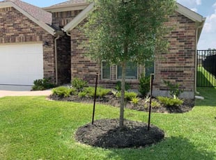 Jason W.'s Lawn Care service result