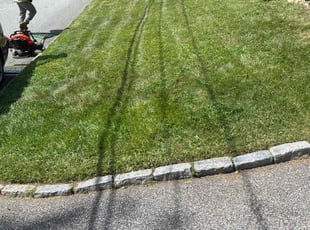 Lisa S.'s Lawn Service service result