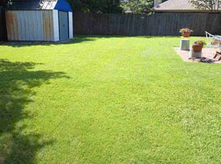 Melody H.'s Lawn Mowing Service service result