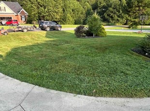 Sue S.'s Grass Cutting service result