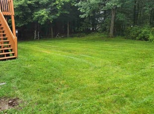 Alvia H.'s Lawn Mowing service result