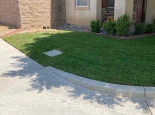 Christal T.'s Grass Cutting service result