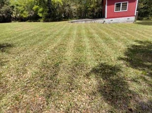 Rachel W.'s Lawn Service service result