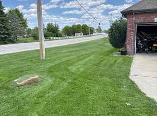 Gabriel T.'s Yard Cutting service result