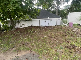 Leaf Removal by Juan Vergara for Raymond K. in Bristol, CT