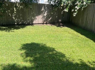 Robert R.'s Lawn Mowing Service service result