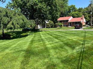 Byron E.'s Lawn Mowing service result