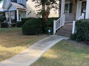 Bush Trimming by Stephen Hammond for Amy C. in Cartersville, GA