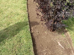 Weeding by Alex Rodriguez for sandra g. in Fresno, CA