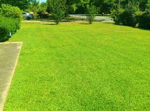 Colin S.'s Lawn Service service result