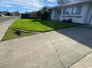 Leon P.'s Lawn Mowing service result