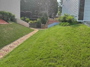 Tiffany H.'s Lawn Mowing service result