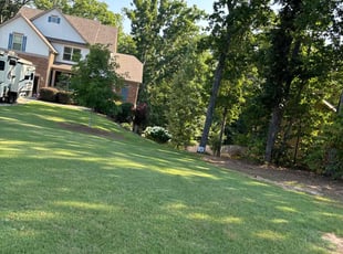 Mike A.'s Lawn Maintenance service result