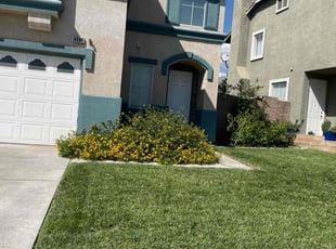 Natalie E.'s Lawn Service service result