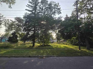 Derlys V.'s Lawn Care service result