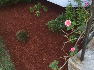 Mulching by Camilo Camacho for Sharon T. in Silver Spring, MD