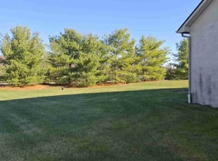 Paul S.'s Lawn Mowing service result