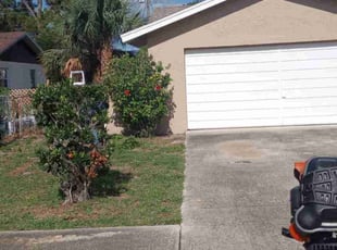 Bush Trimming by Shane Ray for Renee D. in Titusville, FL