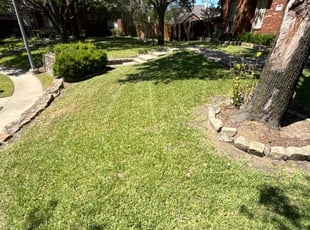 Rodney W.'s Lawn Mowing service result