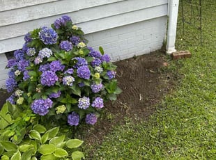 Weeding by Kevin Sumner for Kelsey H. in Fayetteville, NC