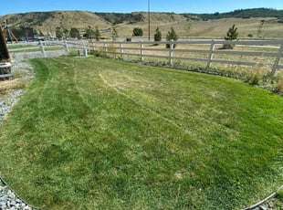 Nick P.'s Lawn Care service result