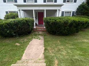 Bush Trimming by David Coppola for Marilyn M. in Hamden, CT