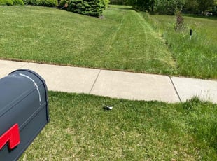 Andretta S.'s Lawn Maintenance service result