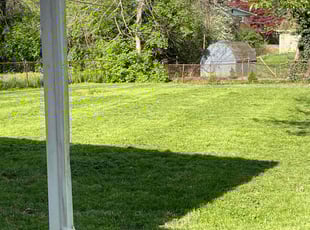 David and Denise S.'s Lawn Mowing service result