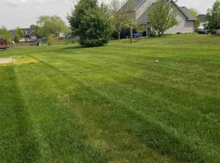 William R.'s Lawn Care service result