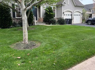 Jane S.'s Grass Cutting service result