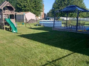 Meenu K.'s Lawn Service service result