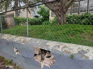Sharon R.'s Lawn Mowing Service service result